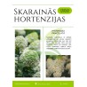 Skaraino hortenziju stādīšana un kopšana - PDF materiāls